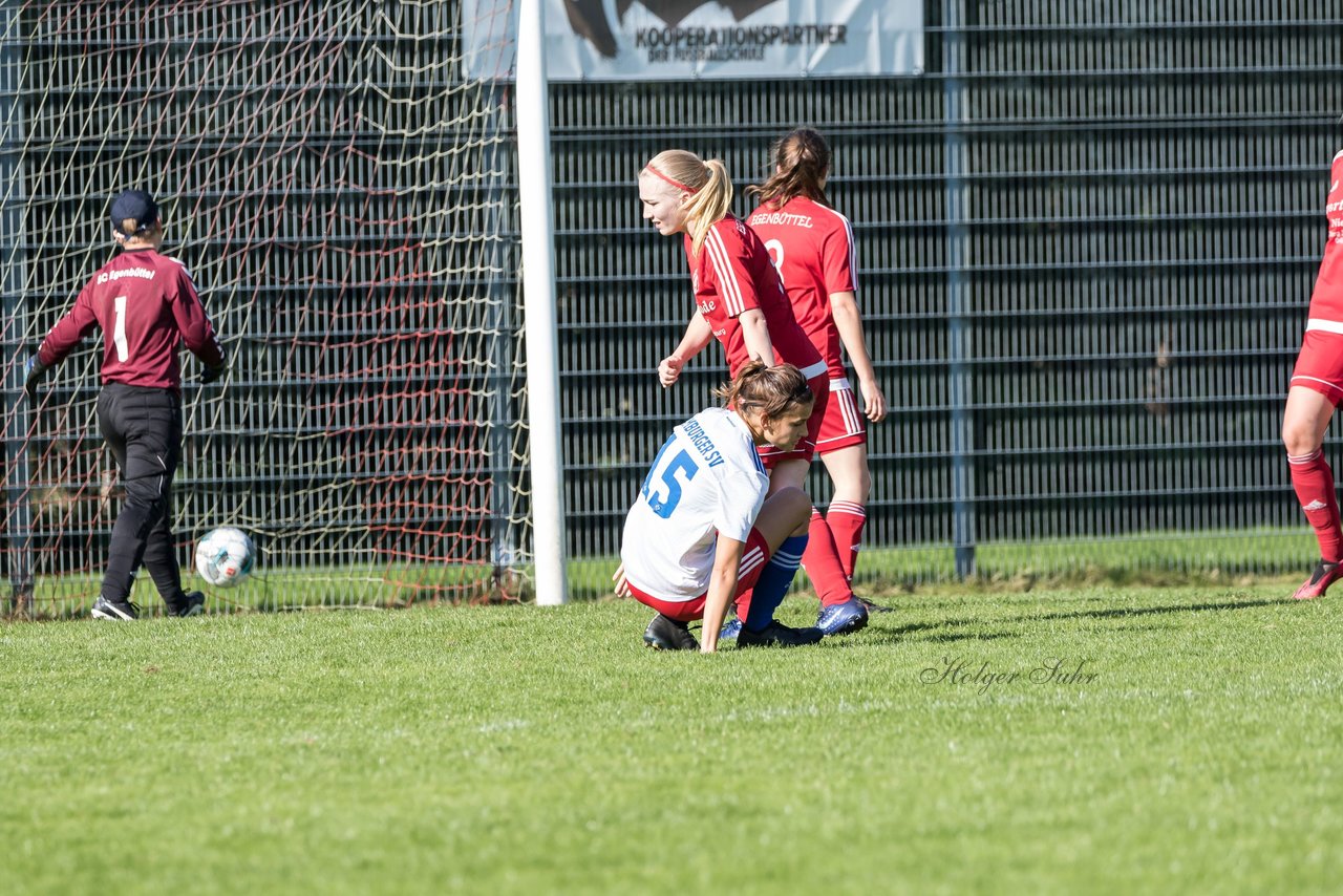 Bild 289 - F Egenbuettel - Hamburger SV 2 : Ergebnis: 0:8